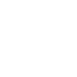 Wordpress logo